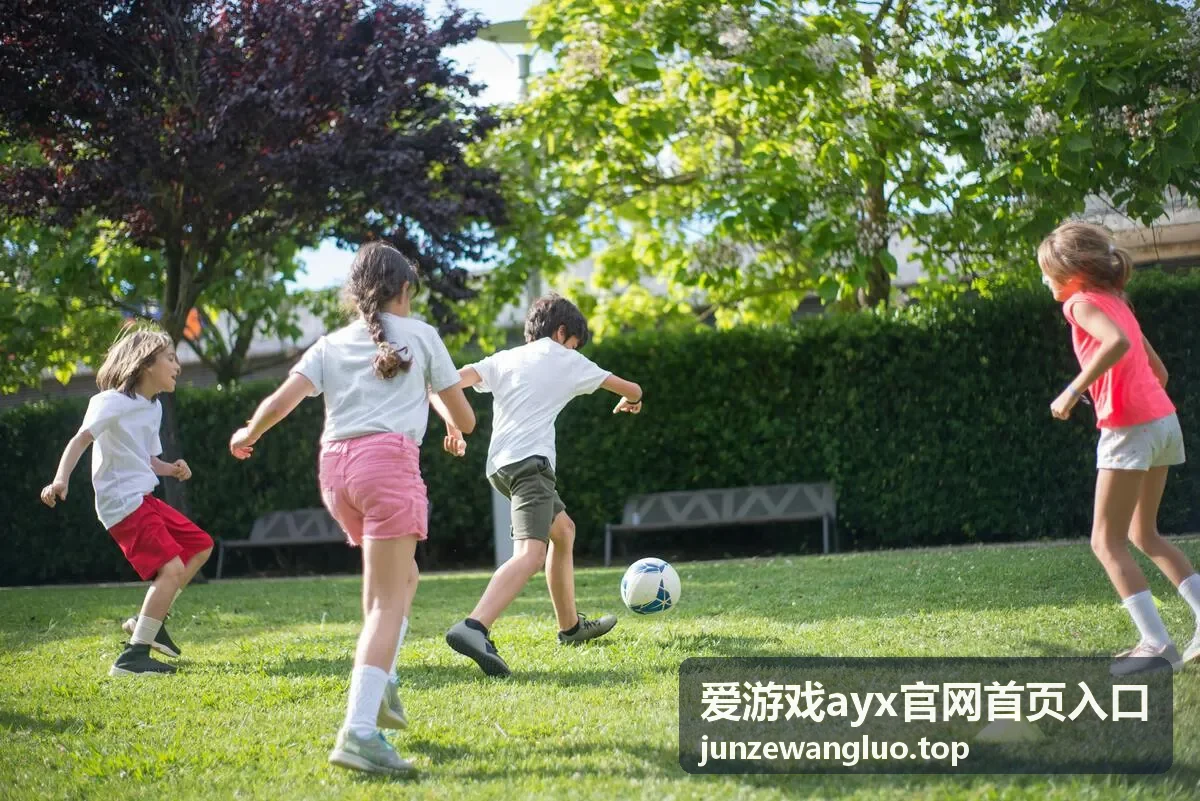 爱游戏ayx官网首页入口的玩法速览封面